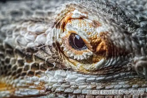 05012013-152250-macro