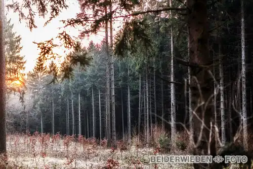 15022015-182403-misc