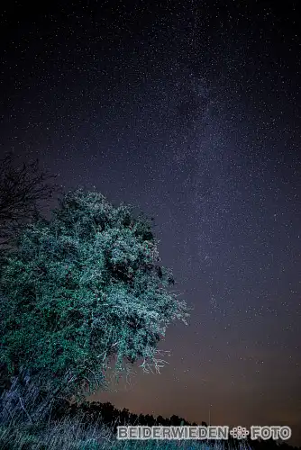 30082019-233156-misc